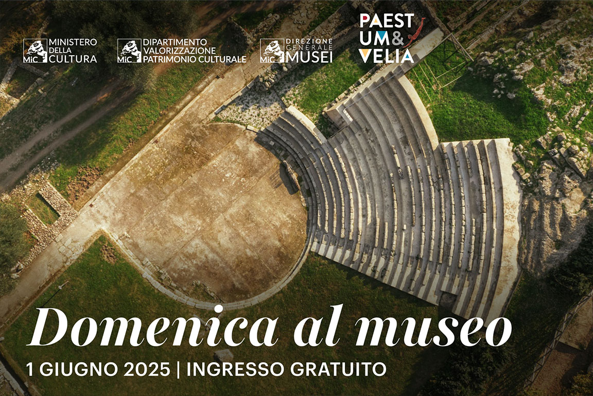 Domenica al museo